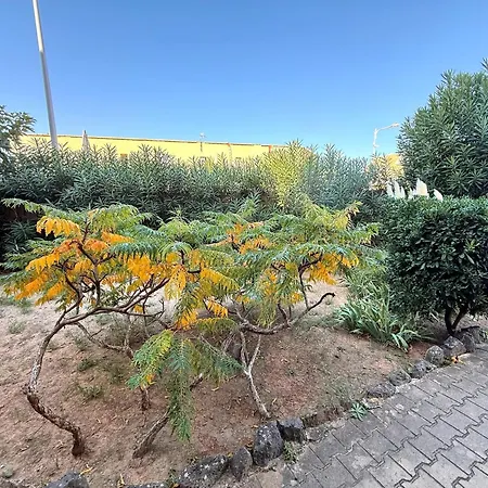 Apartment Le Perchoir Marin - - A 100m A Pied - Parking Prive *